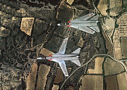 Archivo:Dassault Mirage G8