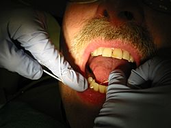 Archivo:Dental flossing 9344