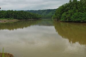 Archivo:E Río Verde 1006 (15) (17108326439)