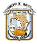 Escudo Sanarate.JPG