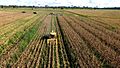 Governo apoia e produtores colhem milho no Alto Acre (26496869633)