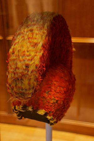 Archivo:Hawaiian feather helmet, British Museum 2
