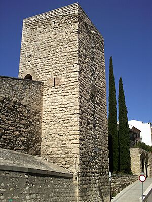 Archivo:Jaén - Torreón del Conde de Torralba K03