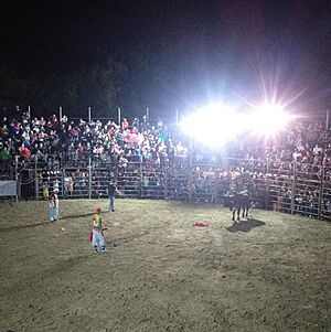 Archivo:Jaripeoconce