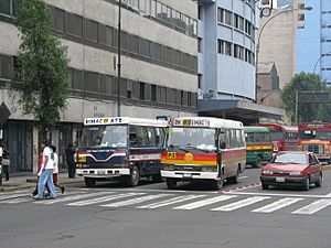 Archivo:Lima Public transport buses