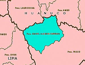 Archivo:Limites geograficos Provincia Daniel Alcides Carrion Pasco