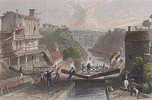 Archivo:Lockport bartlett color
