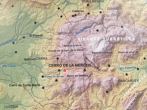 Archivo:Mapa del Cerro de la Merced