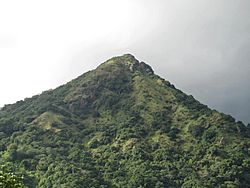 Monte Hormiga, Adjuntas, Puerto Rico.jpg