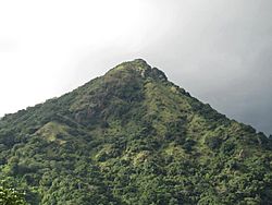Monte Hormiga, Adjuntas, Puerto Rico.jpg