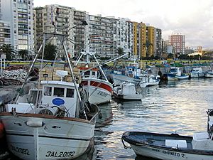 Archivo:Muelle pesquero de Algeciras 1