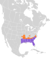 Peucaea aestivalis map