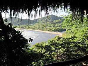 Archivo:Playa Ocotal