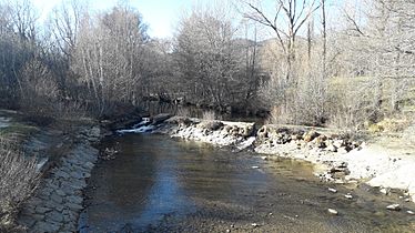 Playa fluvial 2