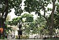 Plaza Bolívar de Caracas