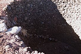 Pozos de Nieve de Izaña para Niños