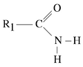 Primary amide
