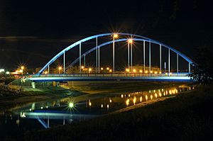 Archivo:Puente VII Centenario en Chiclana