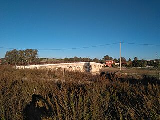 Puente y Venta de La Cartuja.jpg