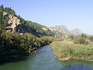 Archivo:River Segura near Abaran - Murcia - Spain - panoramio