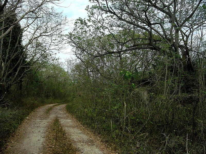 San Antonio Holcá, Yucatán (04)