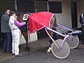 Sulky being prepared DSC03711