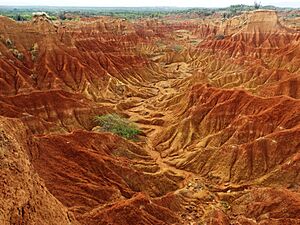 Archivo:Tatacoa Desert