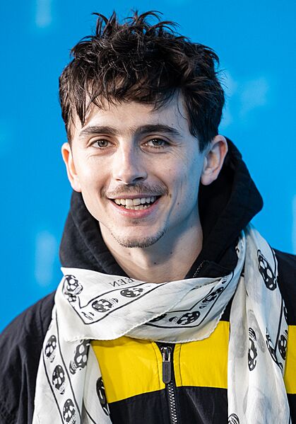 Timothée Chalamet-63541 (cropped)