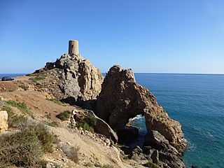 Torre del Pirulico 06.jpg