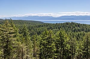 Archivo:View from Mount Maguire, East Sooke Regional Park, British Columbia, Canada 11