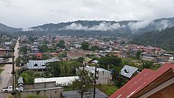 Villa Rica, Peru - panoramio (1).jpg