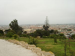 Archivo:Vista de La Serena desde el Cerro Santa Lucía - panoramio