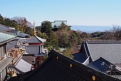 190104 Chogosonshiji Heguri Nara pref Japan01s3.jpg