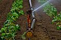 Agricultural Sprinklers