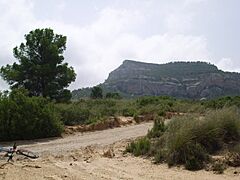 Arabi