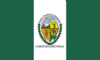 Bandera De Camotan.gif