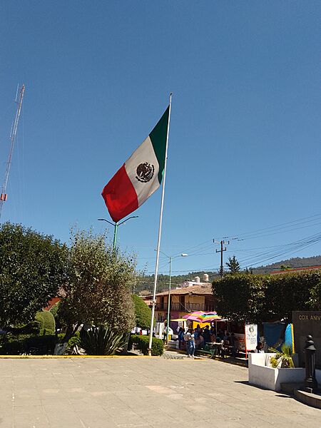 Bandera de Ocampo