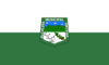 Bandera de Ortega - Tolima.svg