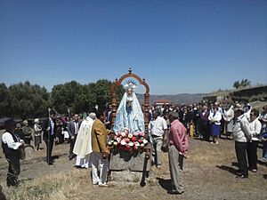 Archivo:Bendición de campos Virgen del Castillo (Vilvestre)