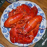 Archivo:Boiled Maine Lobster