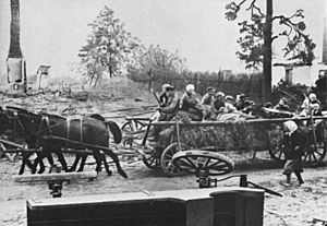 Archivo:Bundesarchiv Bild 175-S00-00326, Flüchtlinge aus Ostpreußen auf Pferdewagen