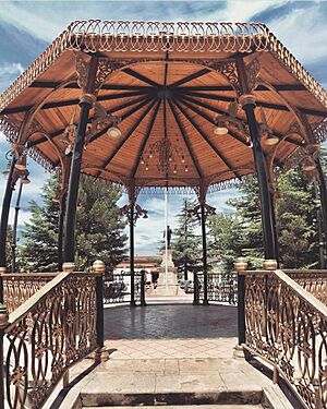 Archivo:Centro en Vicente Guerrero, Chihuahua