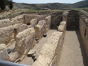 Archivo:Cisternas del foro de Valeria