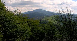 Archivo:Clingmans-dome-from-silers-bald