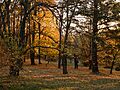 Copou, Iași, Romania - panoramio (4)