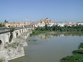 Cordoba PuenteRomano mezquita.jpg