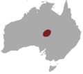 Crest-tailed Mulgara area