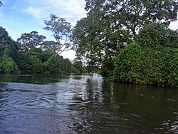 Archivo:Cuiabá River 12