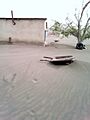 Duna colhu 30-11-2022 16-14-17