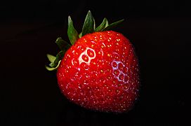 Erdbeere (27009450954)